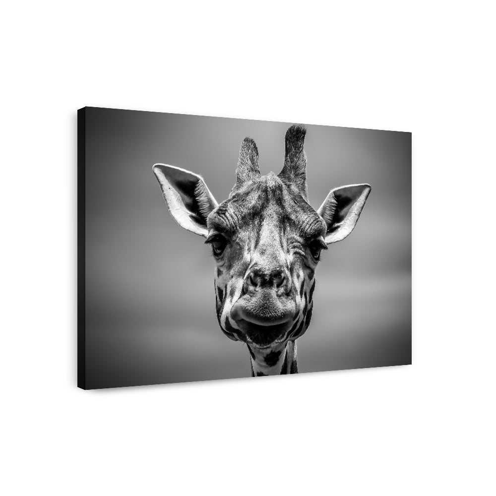 Savannah Dweller - Canvas Wall Art