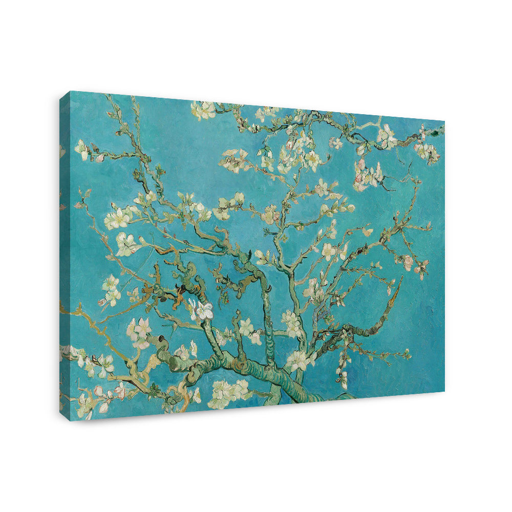 Almond Blossom - Canvas Wall Art