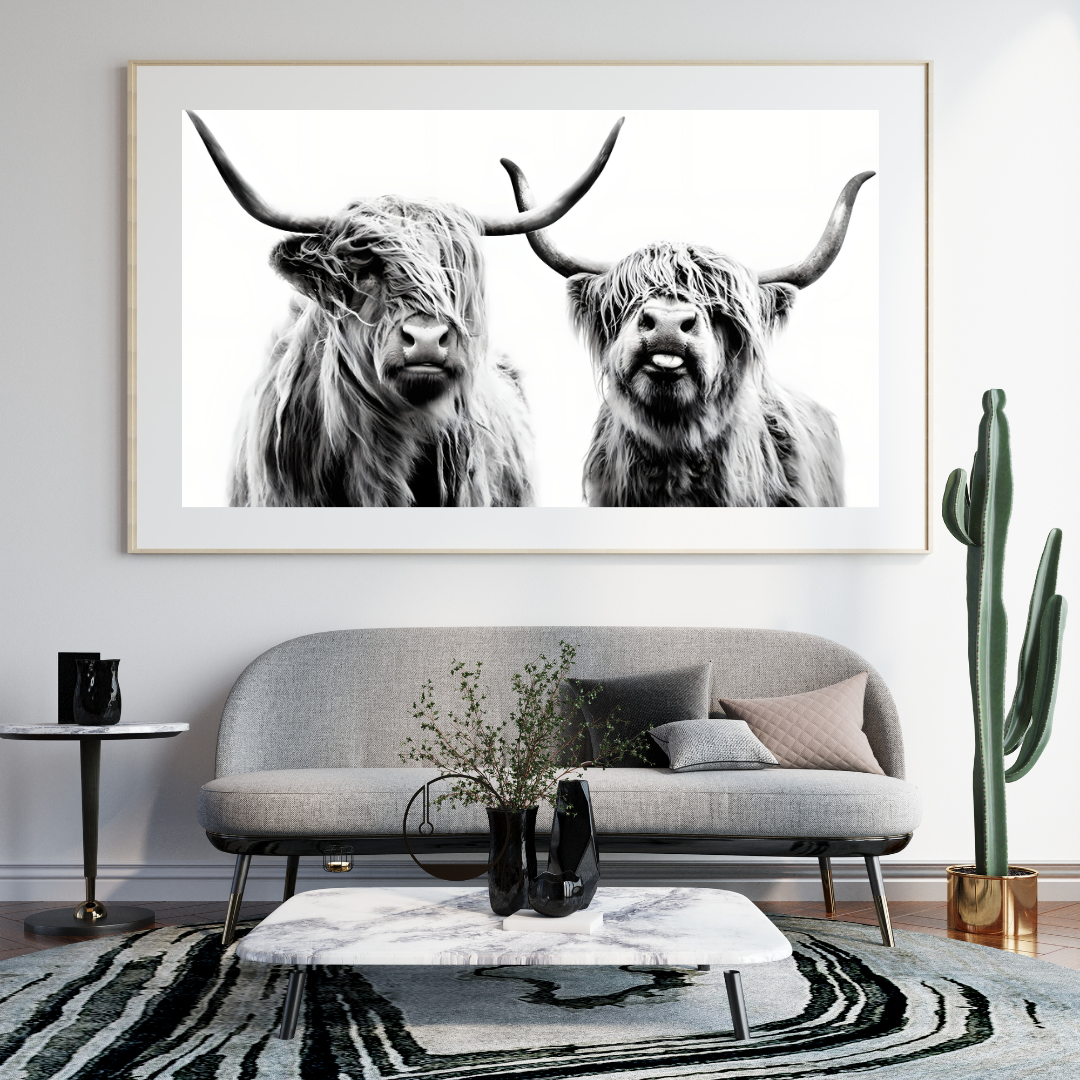 Highland Cow - Canvas Wall Art