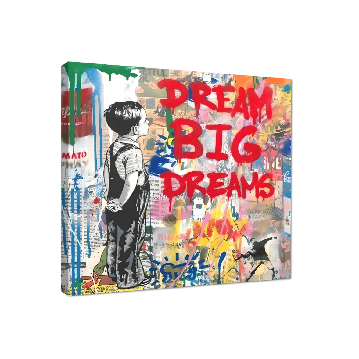 Dream Big Dreams - Canvas Wall Art