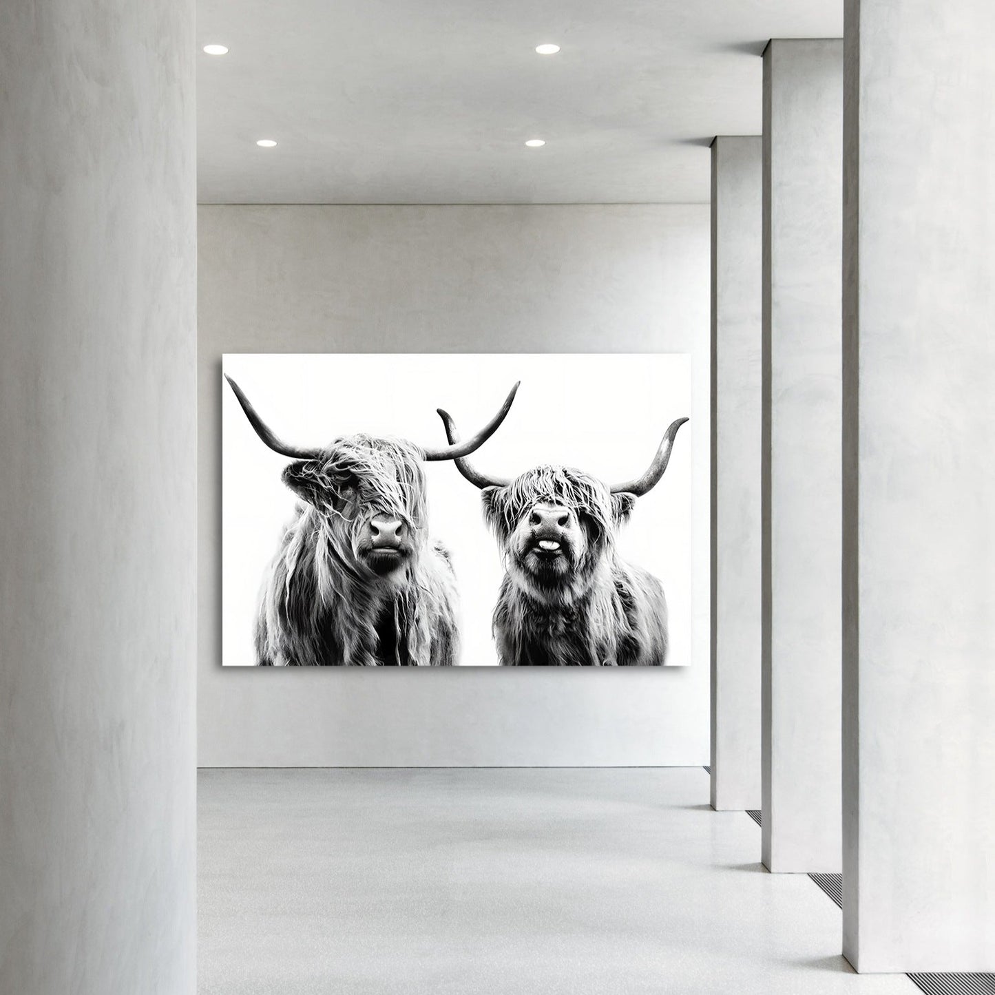Highland Cow - Canvas Wall Art