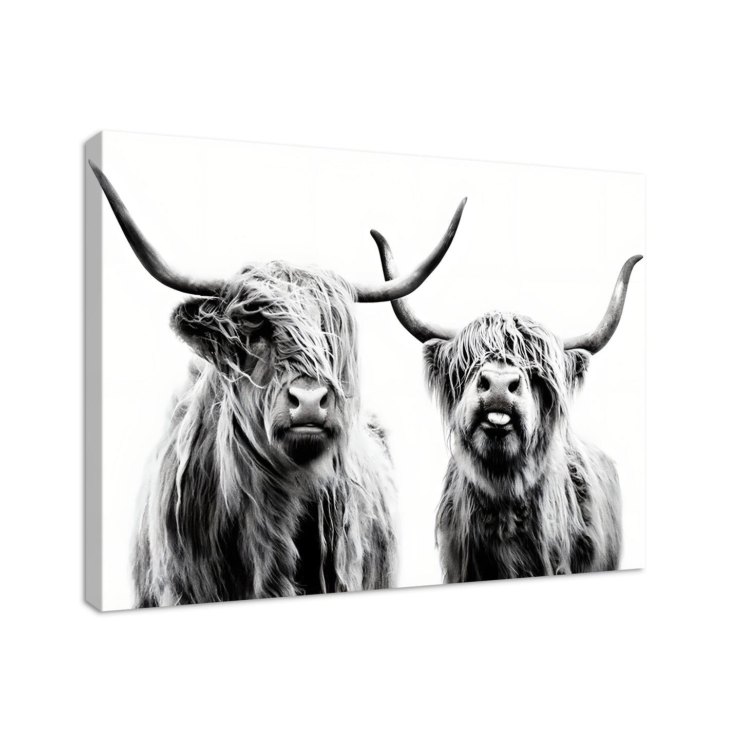 Highland Cow - Canvas Wall Art