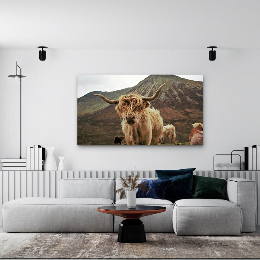 Highland Kettle - Canvas Wall Art