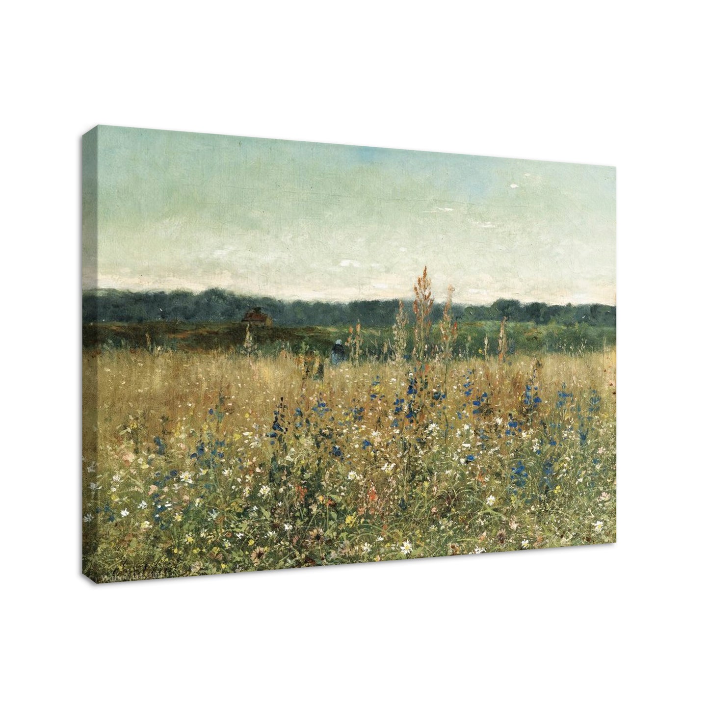 Wildflower Field - Canvas Wall Art