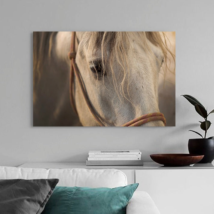 Stallion - Canvas Wall Art